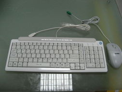 神舟新瑞L3900e一體電腦 簡約設(shè)計與實用性能的融合典范